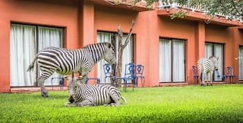 Avani Victoria Falls Resort