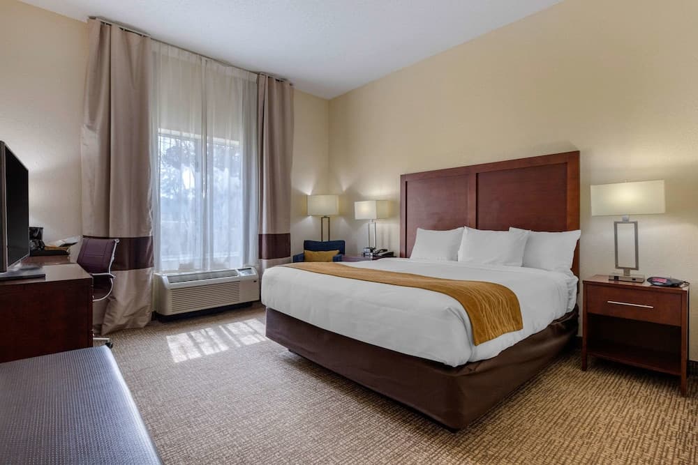 Comfort Inn & Suites Camden