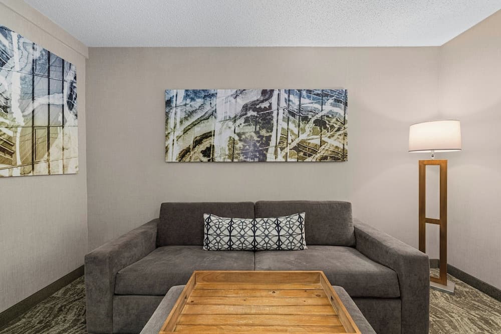 Springhill Suites Minneapolis St Louis Park by Marriott