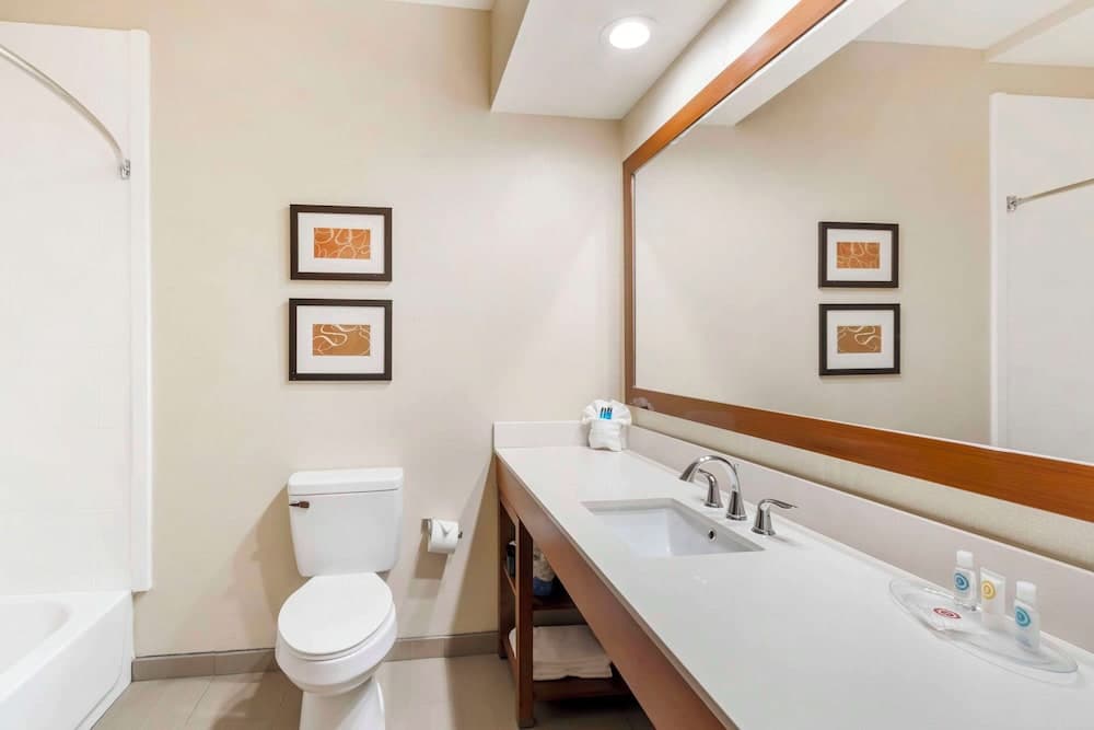 Comfort Inn Summerville - Charleston