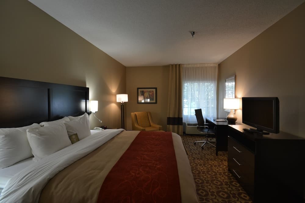 Comfort Inn & Suites Trussville I-59 exit 141