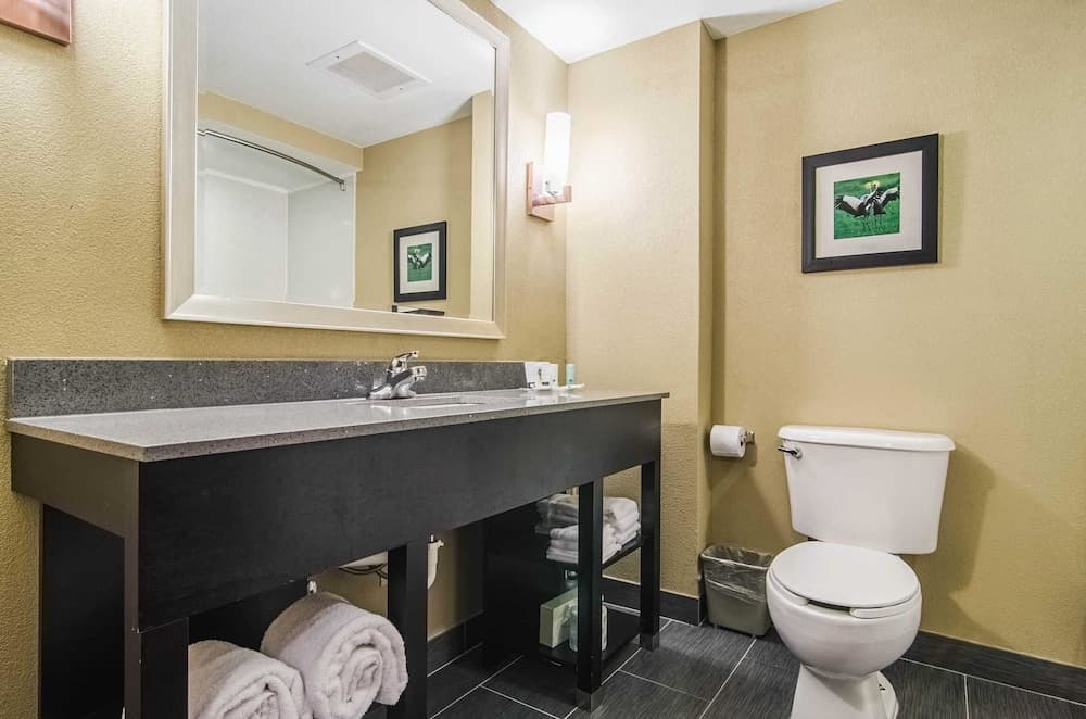 Quality Suites Graham - Burlington South