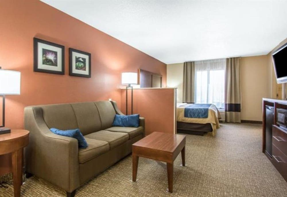 Comfort Inn Livingston
