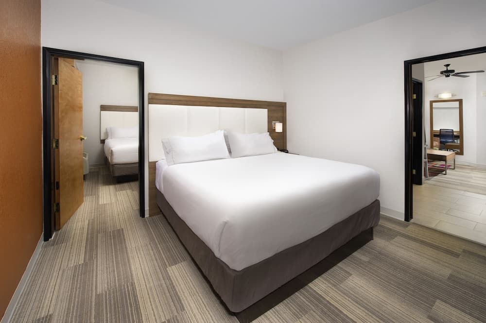 Holiday Inn Express & Suites San Antonio-Dtwn Market Area by IHG