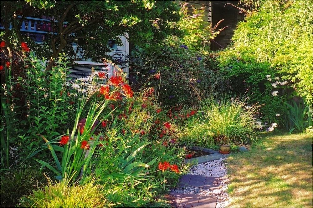 A Suite at Kitsilano Cottage