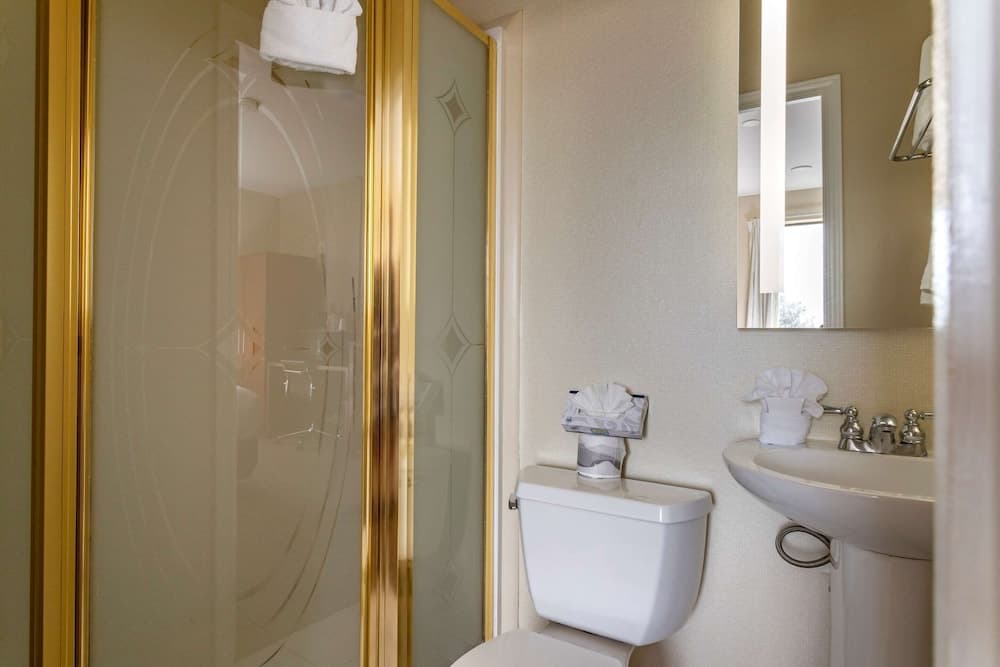 Comfort Suites Houston near Medical Center- NRG Stadium