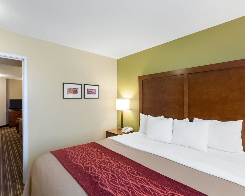 Comfort Inn & Suites Fayetteville - University Area