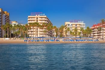 Servigroup Papa Luna