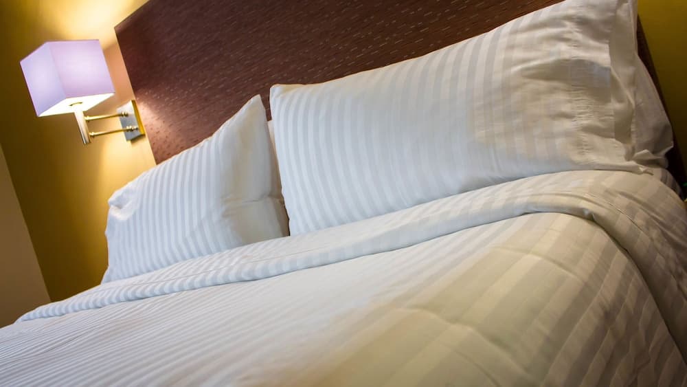 Holiday Inn Orizaba by IHG