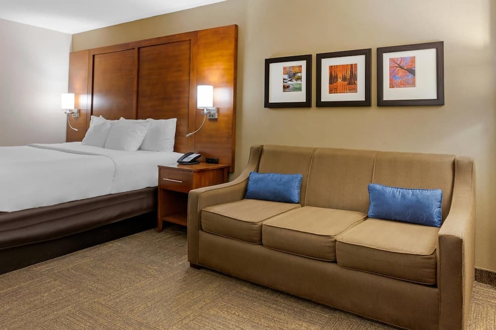 Comfort Inn & Suites Presidential - Downtown Little Rock