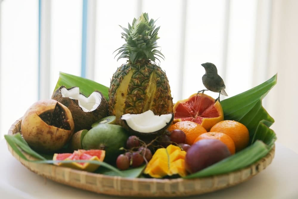 Résidence La Marina