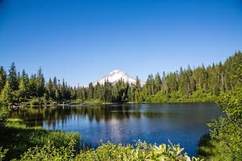 Mt Hood Village RV Resort