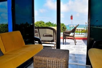 Flightless Cormorant