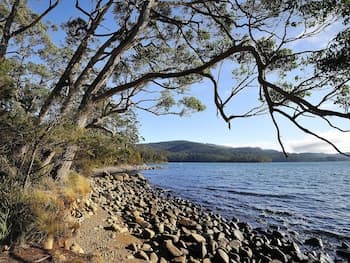 NRMA Port Arthur Holiday Park