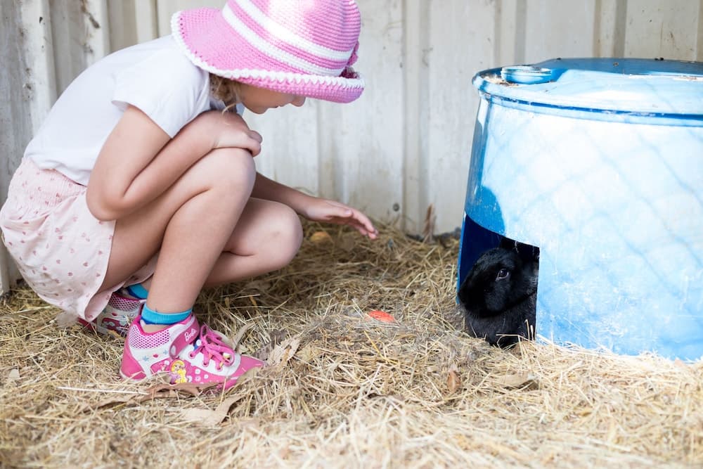 Misty Valley Country Cottages