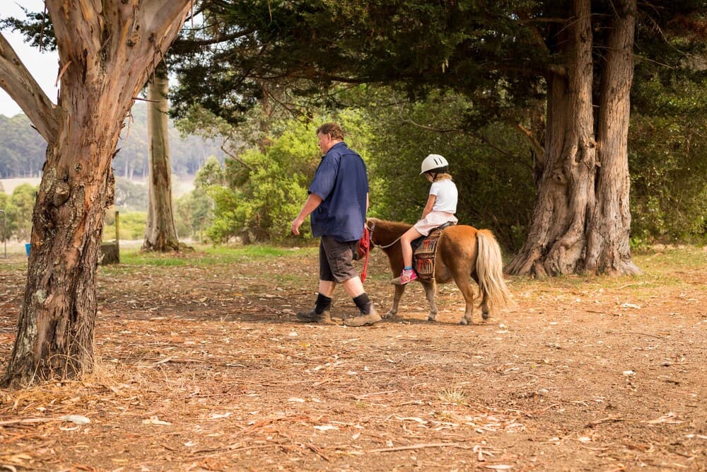 Misty Valley Country Cottages