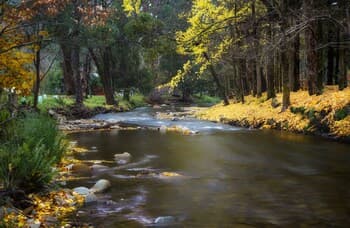 Goldfield Holiday Units