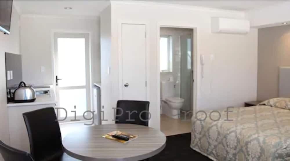 Auckland Phoenix Palm