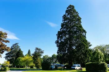 Geraldine Top 10 Holiday Park