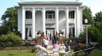 Shadowlawn Bed & Breakfast