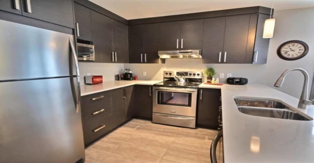 Harfang des Neiges - RVMT