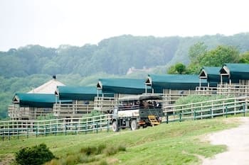Port Lympne Reserve - Livingstone Lodge