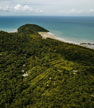 Cape Trib Farmstay