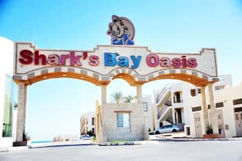 Shark Bay Oasis