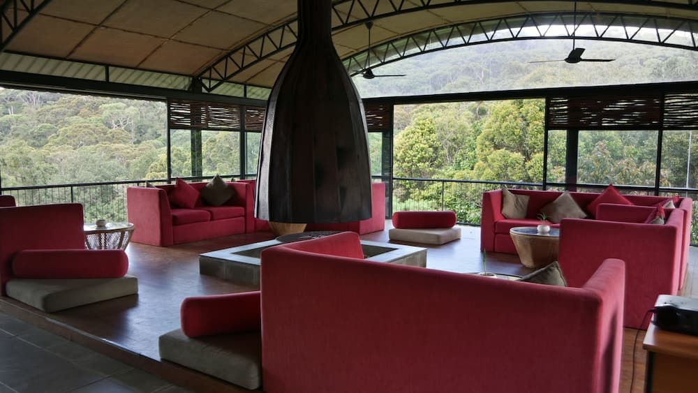 The Rainforest Ecolodge