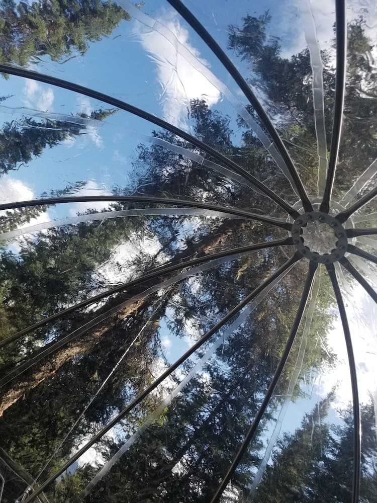 Stanton Creek Cabins