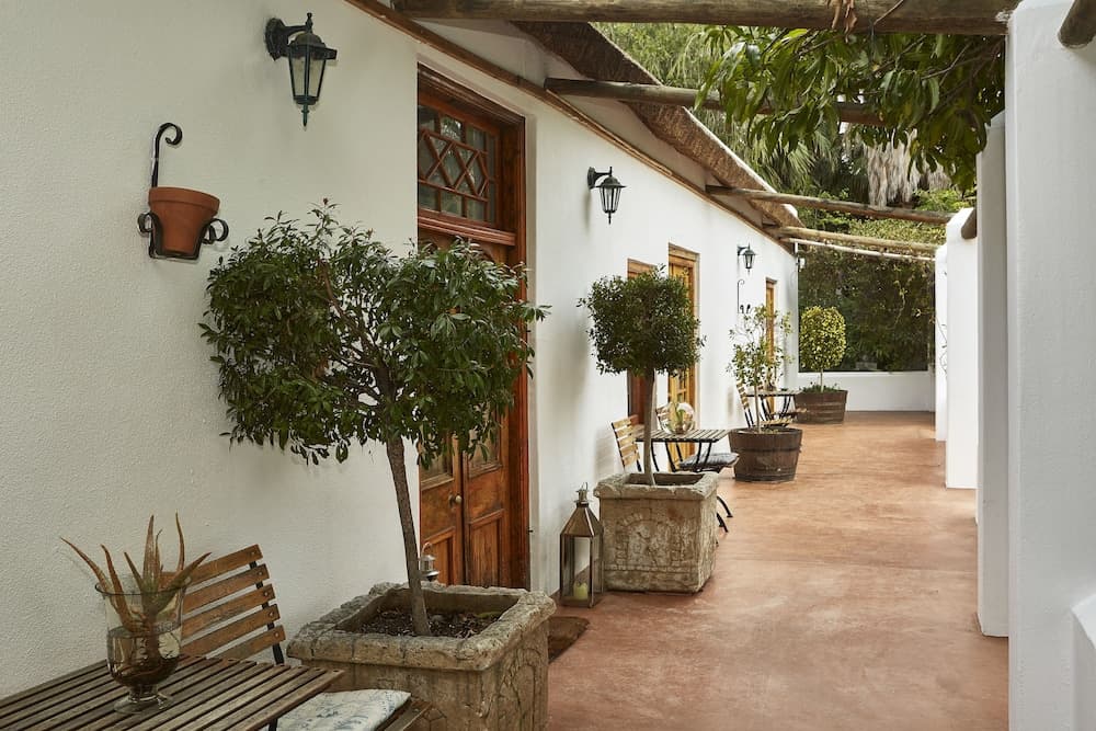 Yellow Aloe Guesthouse