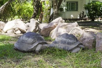 Hotel Cote d'Or Lodge