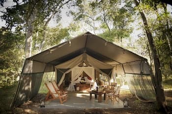Mara Bush Camp