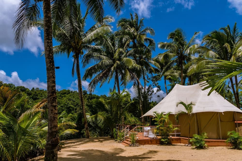 Canvas and Orchids Retreat