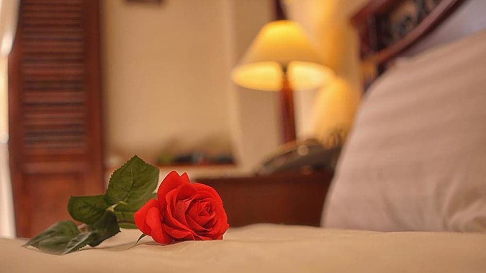 Cam Ly Boutique Apartment & Hotel