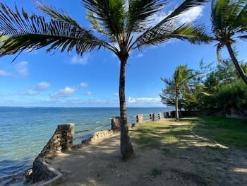 Cool Breeze Beachfront Apartments