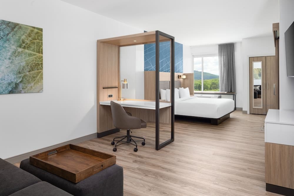 Springhill Suites By Marriott Roanoke North