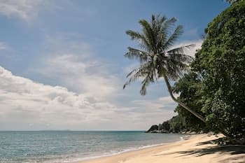 The Boathouse Pulau Tioman
