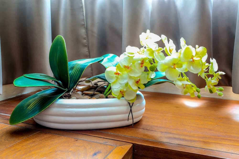 Azura Golf Resort & Spa