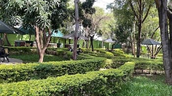 Jungle Green Resort - Kiutine