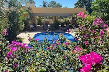 Zandoyo Bed & Breakfast