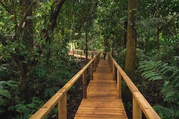 Kurrulau - Hotel Playa Pacífica