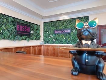 Hotel Bossh Alicia