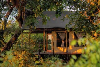 Camp Sabali & Safaris