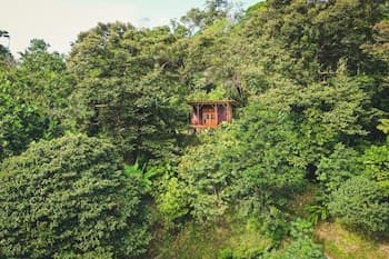 ataraxia bocas del toro