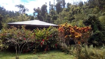 3 Rivers & Rosalie Forest Eco Lodge