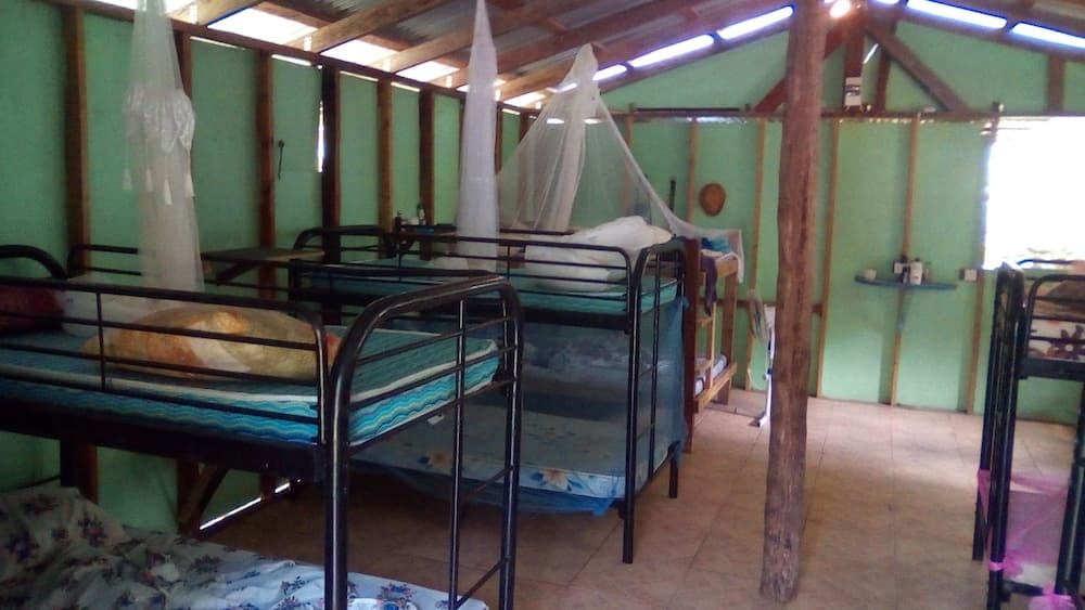 3 Rivers & Rosalie Forest Eco Lodge