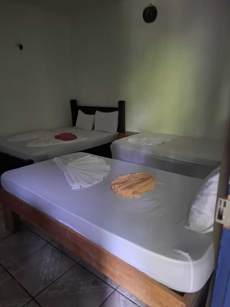 Cabinas Tortuguero Natural