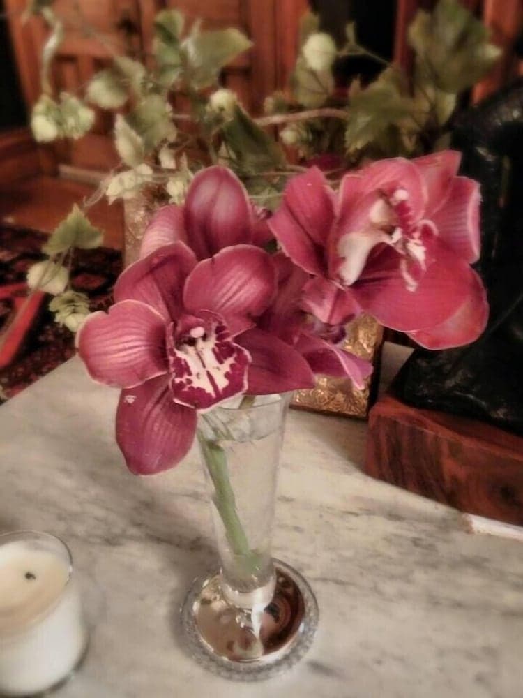 Manderley Bed and Breakfast