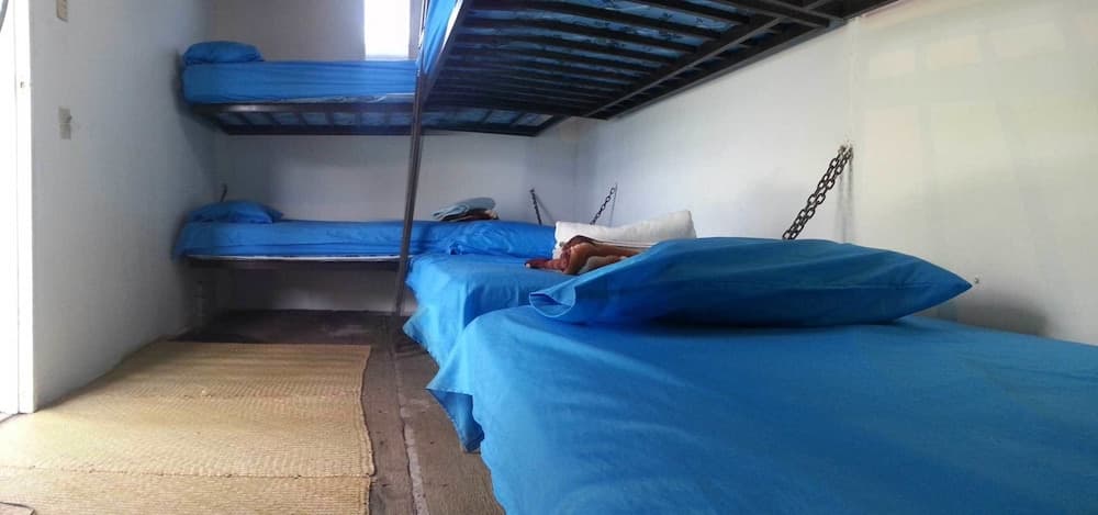 The Guaras Hostal - Hostel